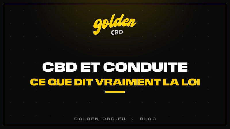 CBD et conduite : ce que dit vraiment la loi