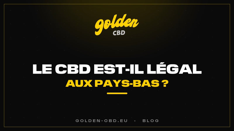 Le CBD est-il légal aux Pays-Bas ?