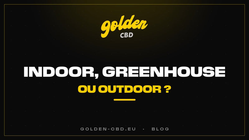 Culture indoor, greenhouse ou outdoor