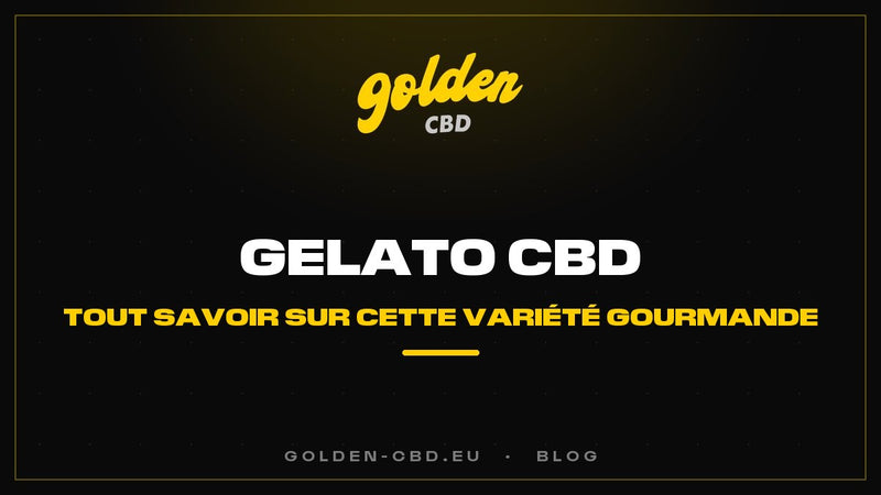 Gelato CBD : la variété gourmande