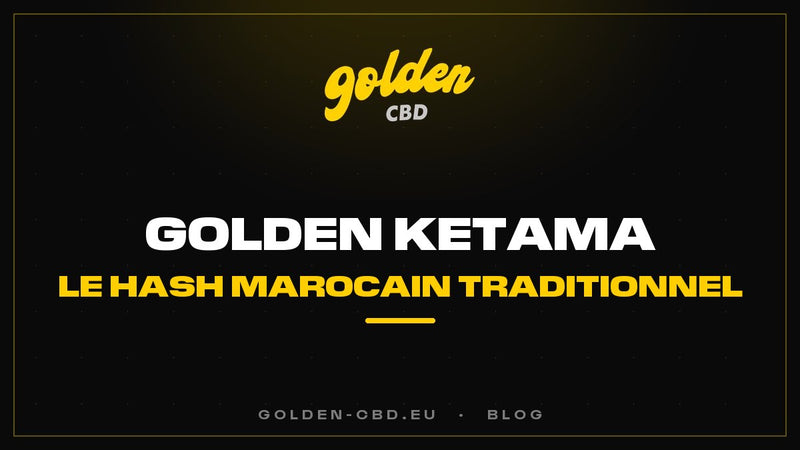 Golden Ketama : le hash marocain traditionnel