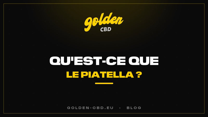 Qu'est-ce que le Piatella ? Le hash cold cure