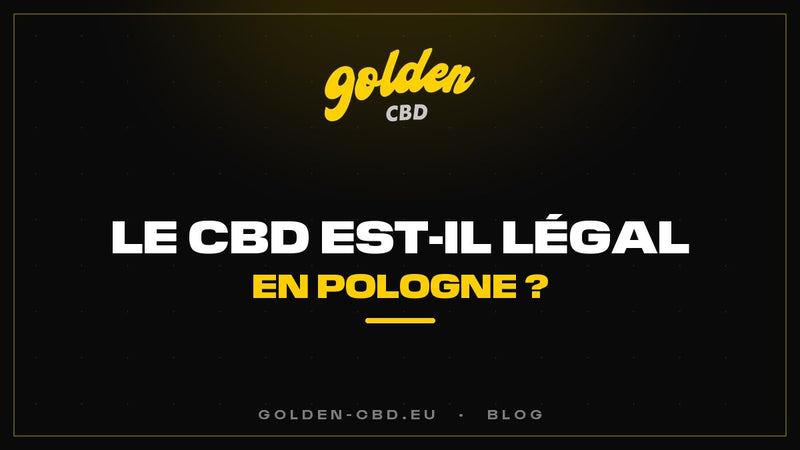Le CBD est-il légal en Pologne ?