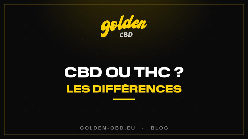 CBD ou THC : quelles sont les différences ? — Golden CBD