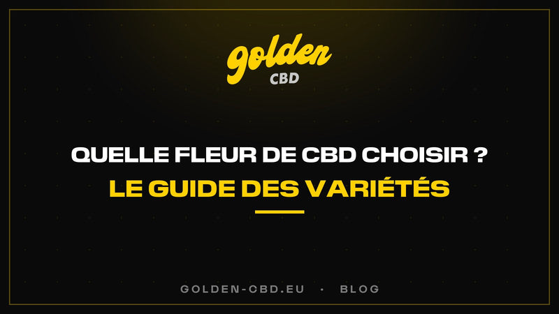 Quelle fleur de CBD choisir ? Le guide des variétés — Golden CBD