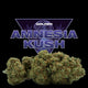 AMNESIA KUSH CBD