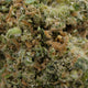 BRUCE BANNER CBD