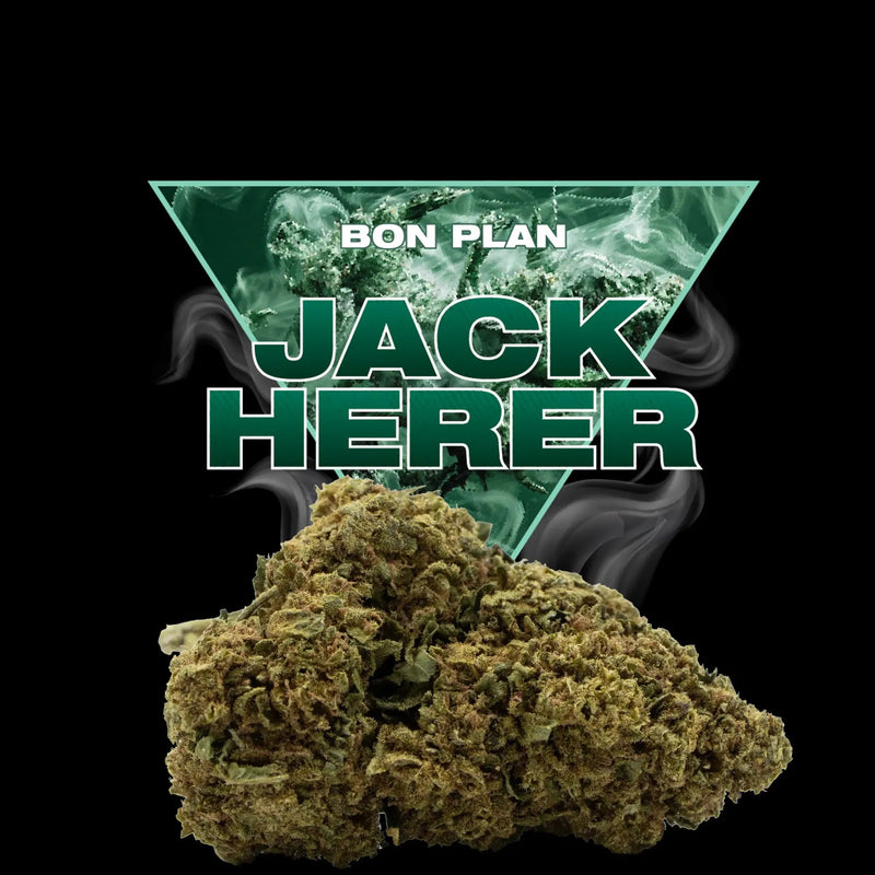 JACK HERER CBD