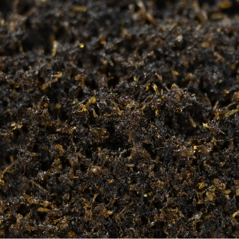 Macro résine CBD Gibraltar Hasch - Golden CBD