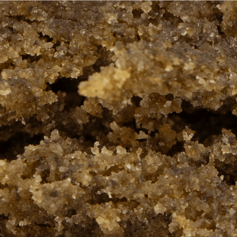 ICE O LATOR CBD