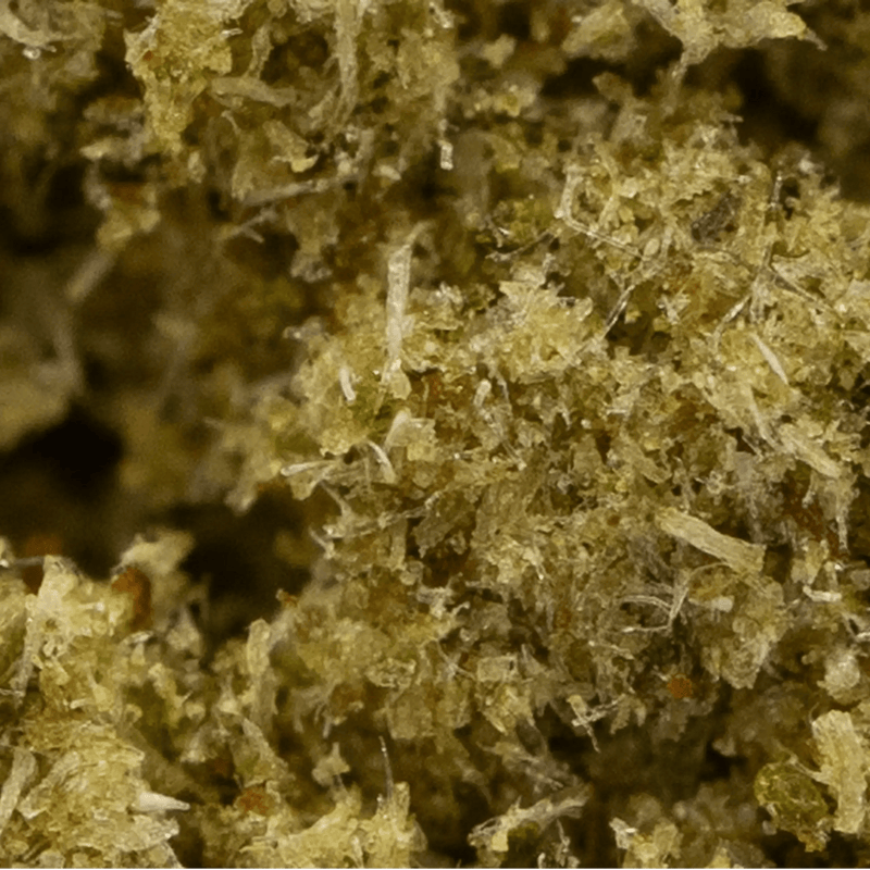 LEMON HASH CBD