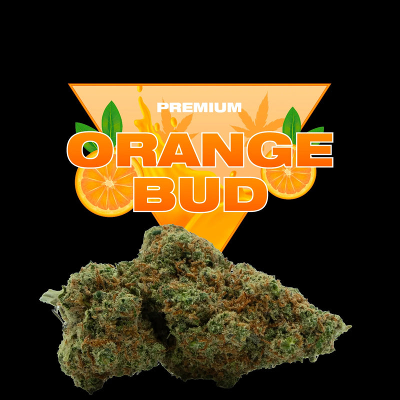 ORANGE BUD CBD