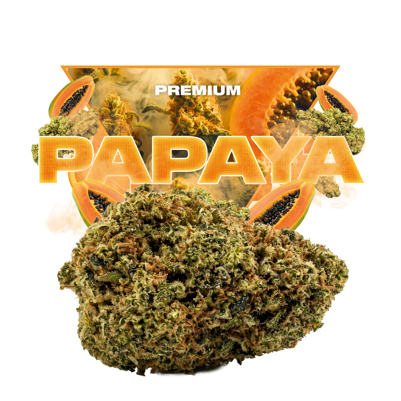 PAPAYA INDOOR CBD