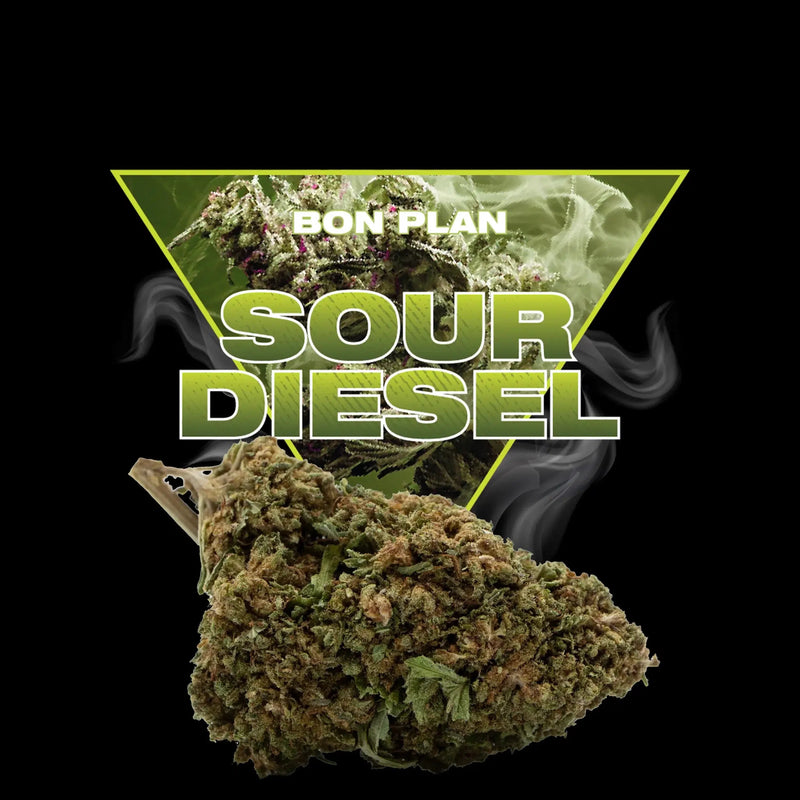 SOUR DIESEL CBD