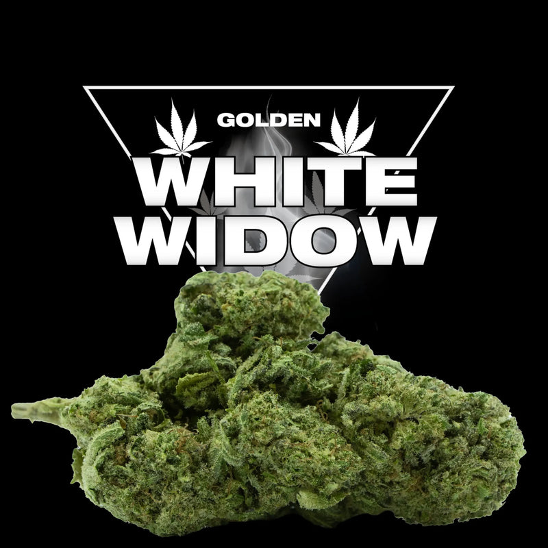 WHITE WIDOW CBD