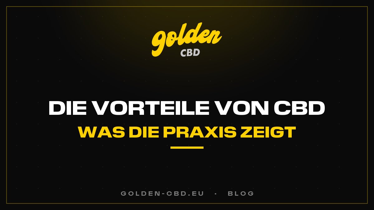 Die Vorteile von CBD: Was der tägliche Gebrauch uns zeigt