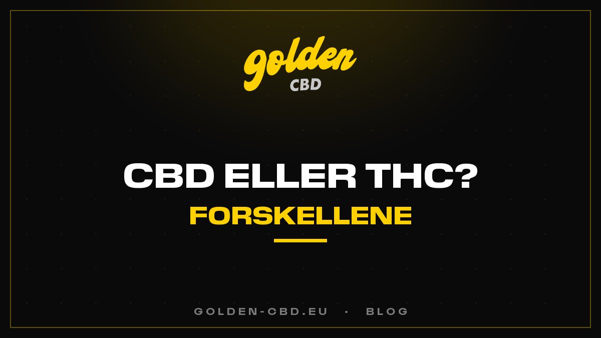 CBD eller THC: hvad er forskellene?