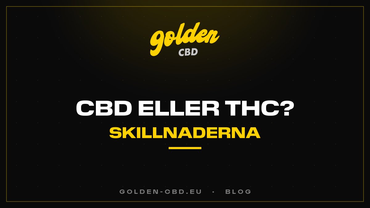 CBD eller THC: vilka är skillnaderna?