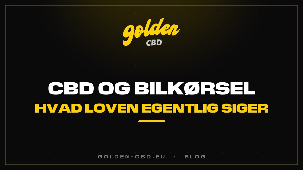 CBD og bilkørsel: hvad loven egentlig siger