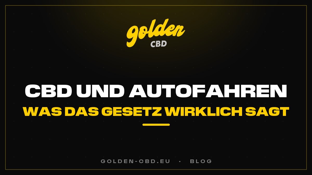 CBD und Autofahren: Was das Gesetz wirklich sagt