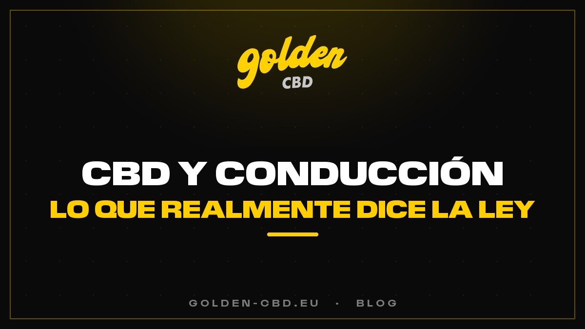 CBD y conducción: lo que realmente dice la ley