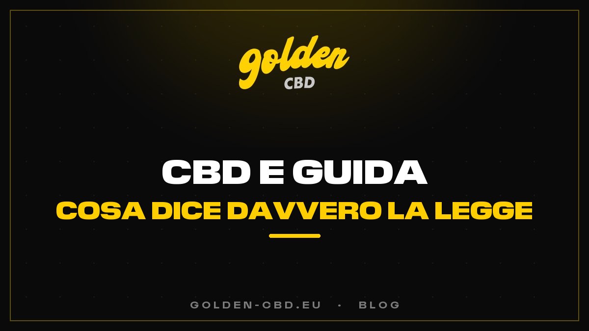 CBD e guida: cosa dice davvero la legge