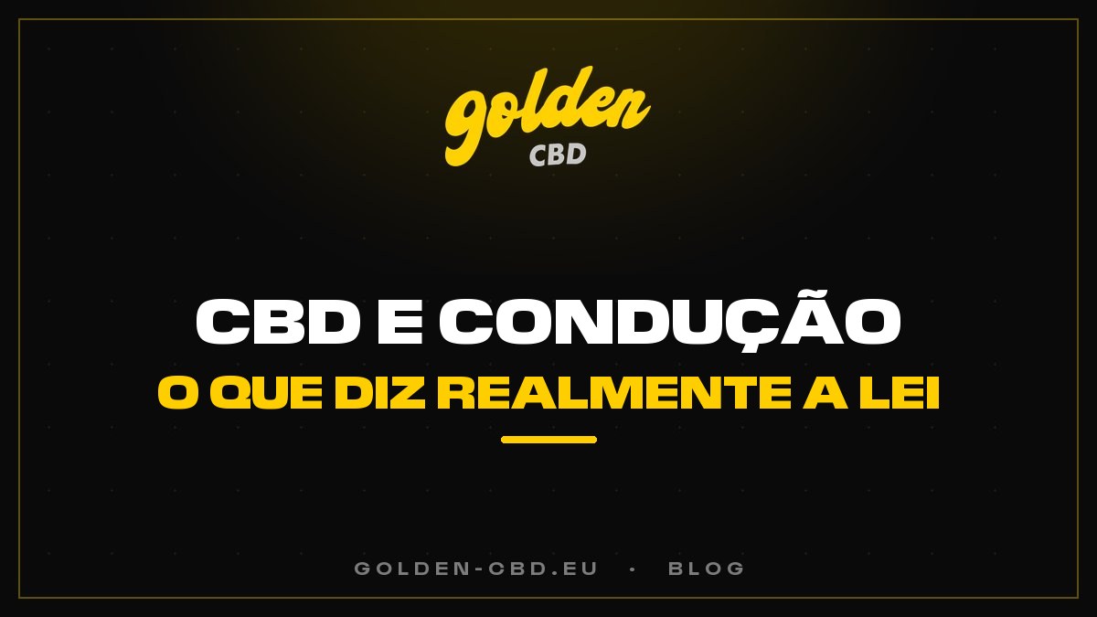 CBD e condução: o que diz realmente a lei