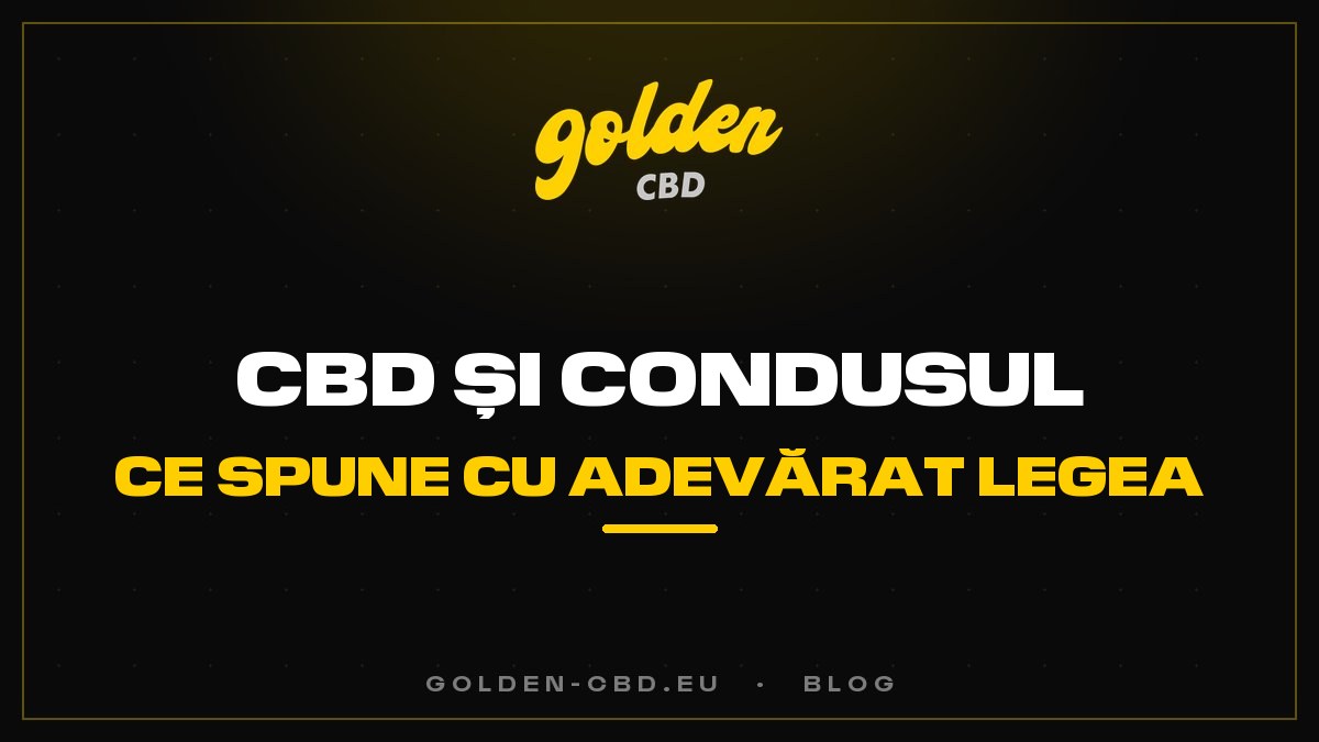 CBD și condusul: ce spune cu adevărat legea