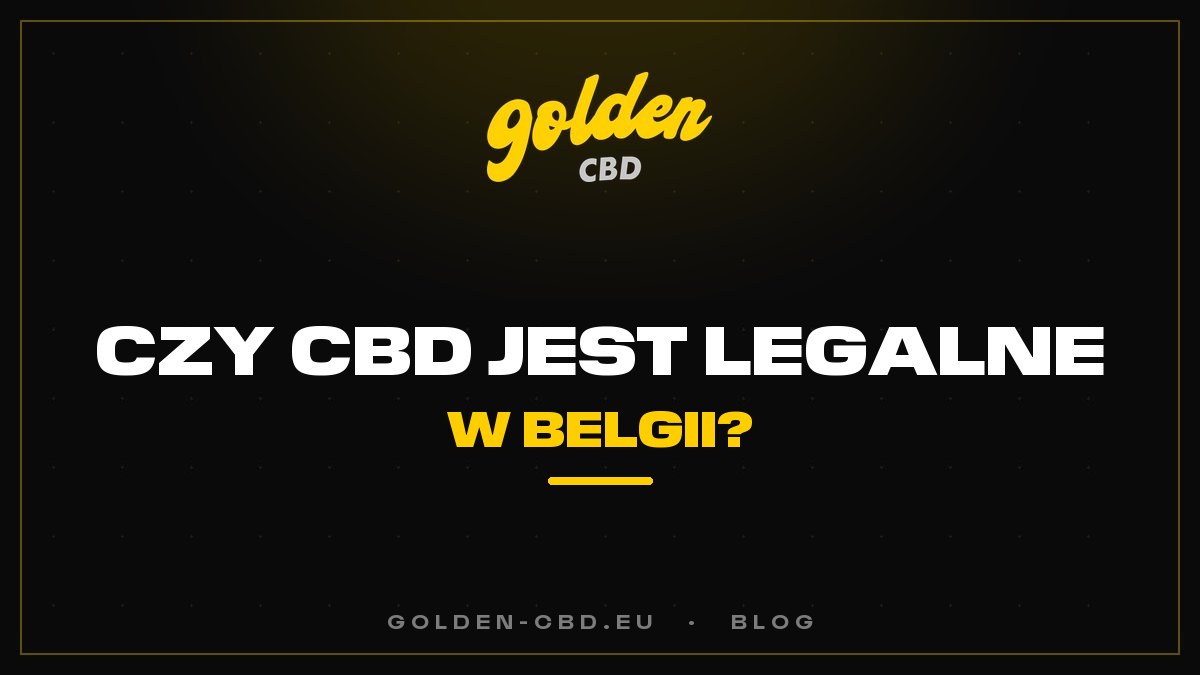 Czy CBD jest legalne w Belgii?