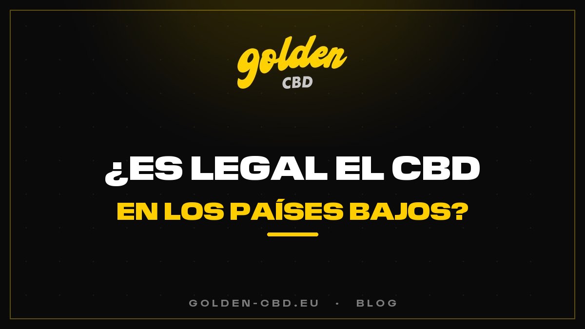 ¿Es legal el CBD en los Países Bajos?