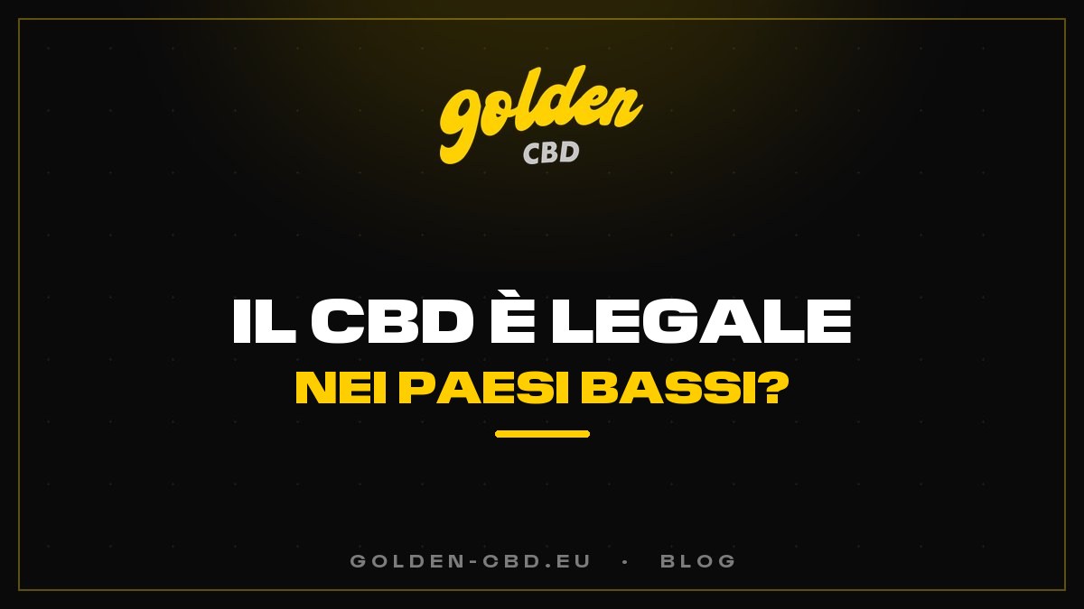 Il CBD è legale nei Paesi Bassi?