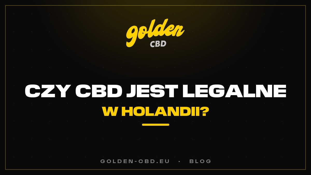 Czy CBD jest legalne w Holandii?