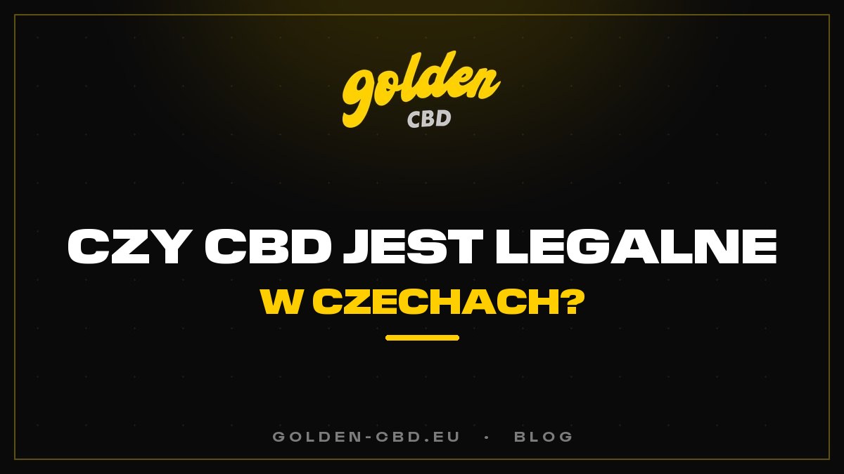 Czy CBD jest legalne w Czechach?