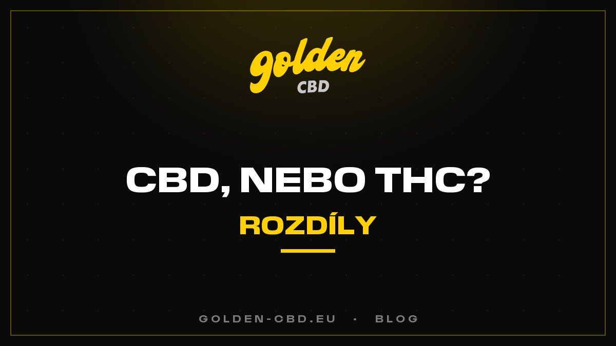 CBD nebo THC: jaké jsou rozdíly?