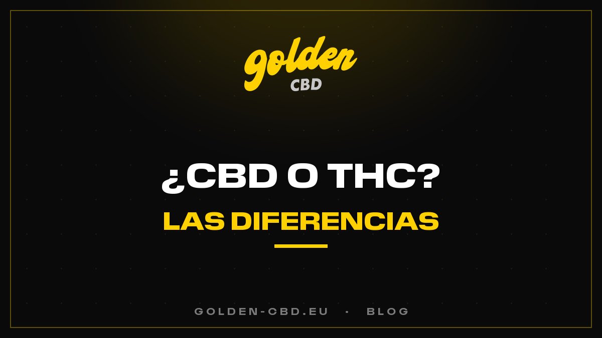 CBD o THC: ¿cuáles son las diferencias?