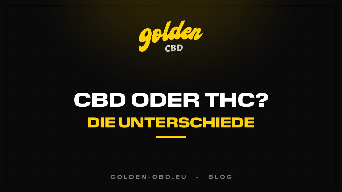 CBD oder THC: Was sind die Unterschiede?