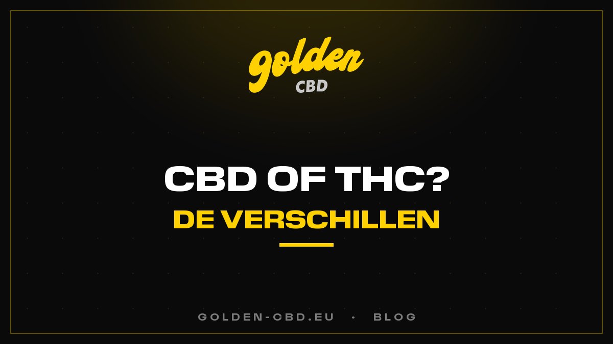CBD of THC: wat zijn de verschillen?
