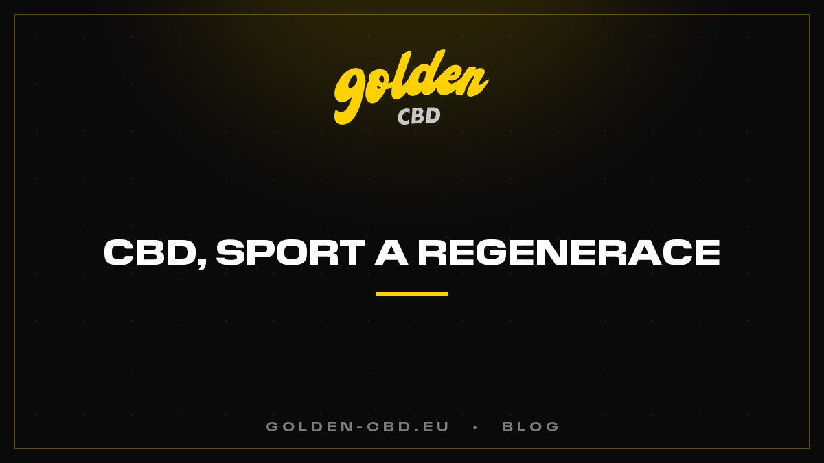 CBD, sport a regenerace