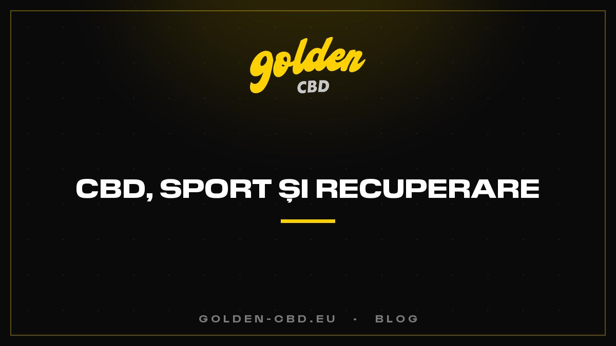 CBD, sport și recuperare