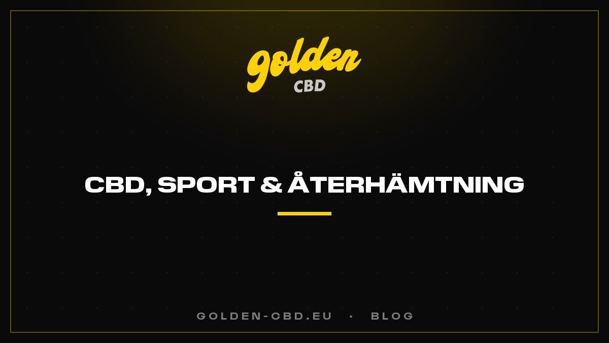 CBD, sport och återhämtning