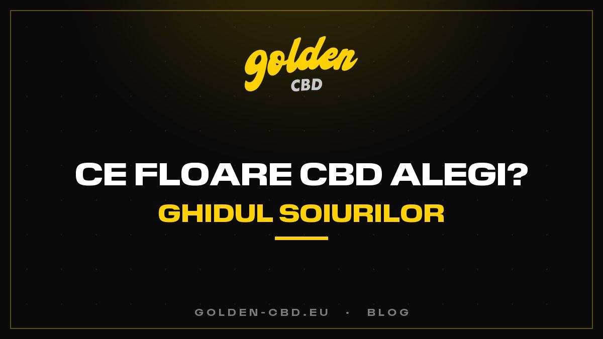 Ce floare de CBD să alegi? Ghidul complet al soiurilor