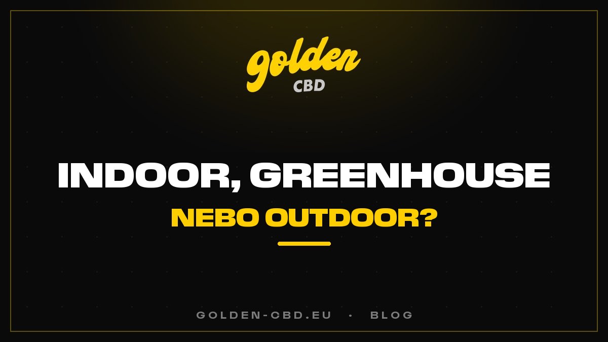 Indoor, skleníkové (greenhouse), nebo outdoor pěstování: jaké jsou rozdíly u CBD?