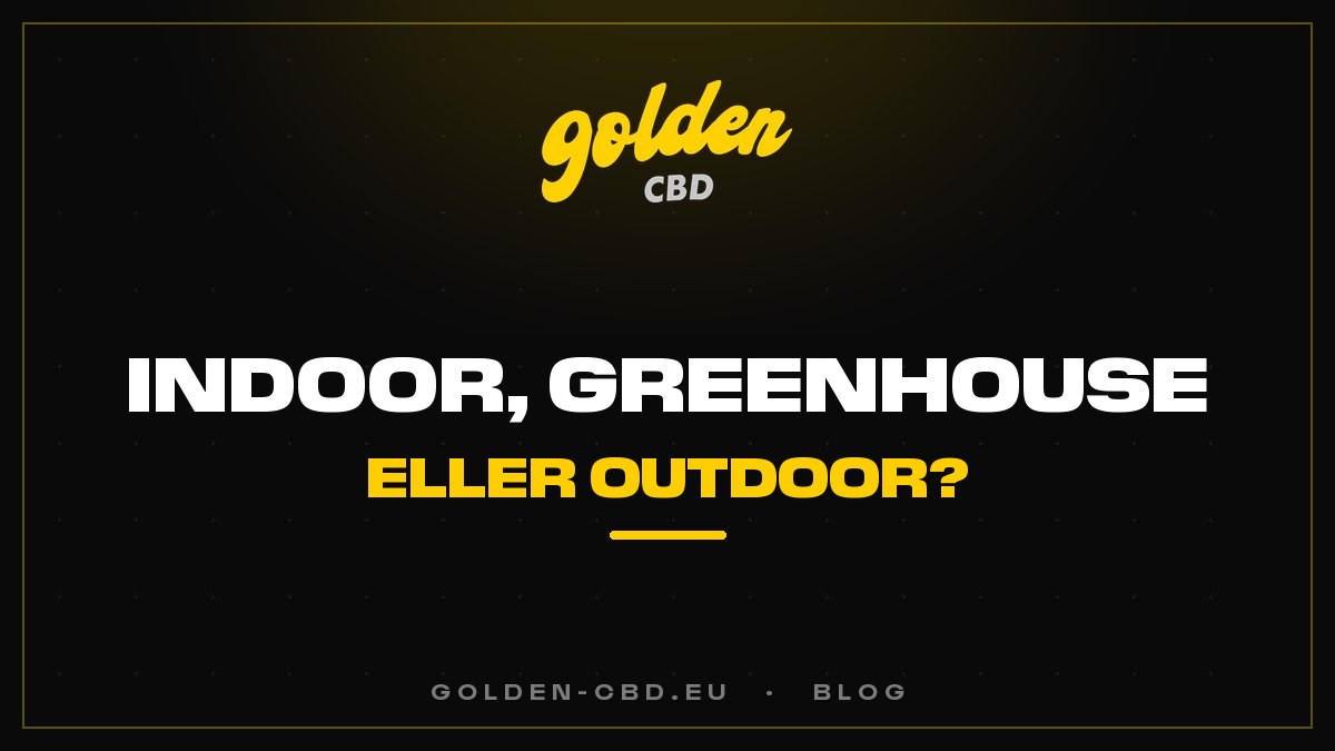 Indoor, greenhouse eller outdoor: hvilke forskelle for CBD?