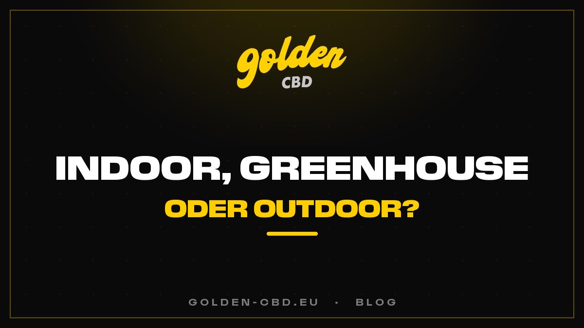 Indoor, Greenhouse oder Outdoor: Welche Unterschiede beim CBD?