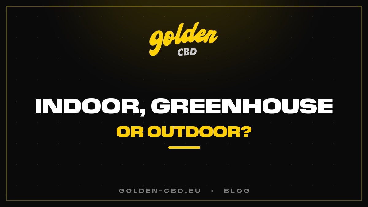 Indoor, greenhouse or outdoor cultivation: what difference does it make for CBD?