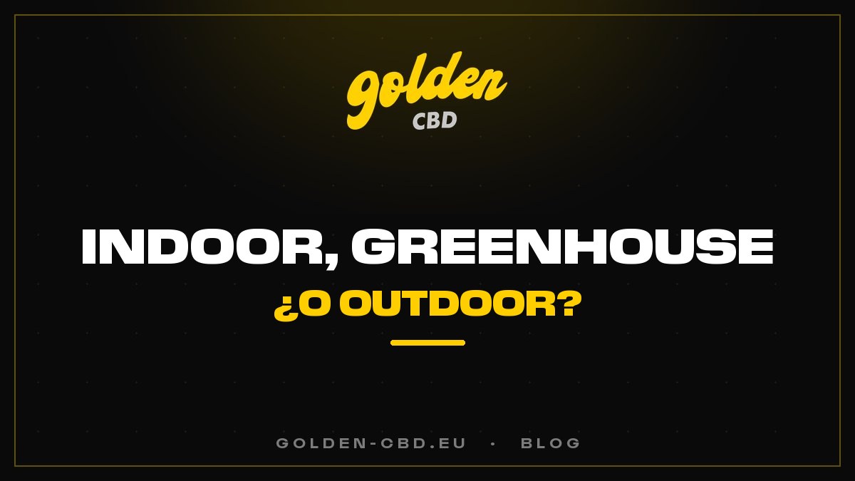 Cultivo de interior (indoor), invernadero (greenhouse) o exterior (outdoor): ¿qué diferencias para el CBD?