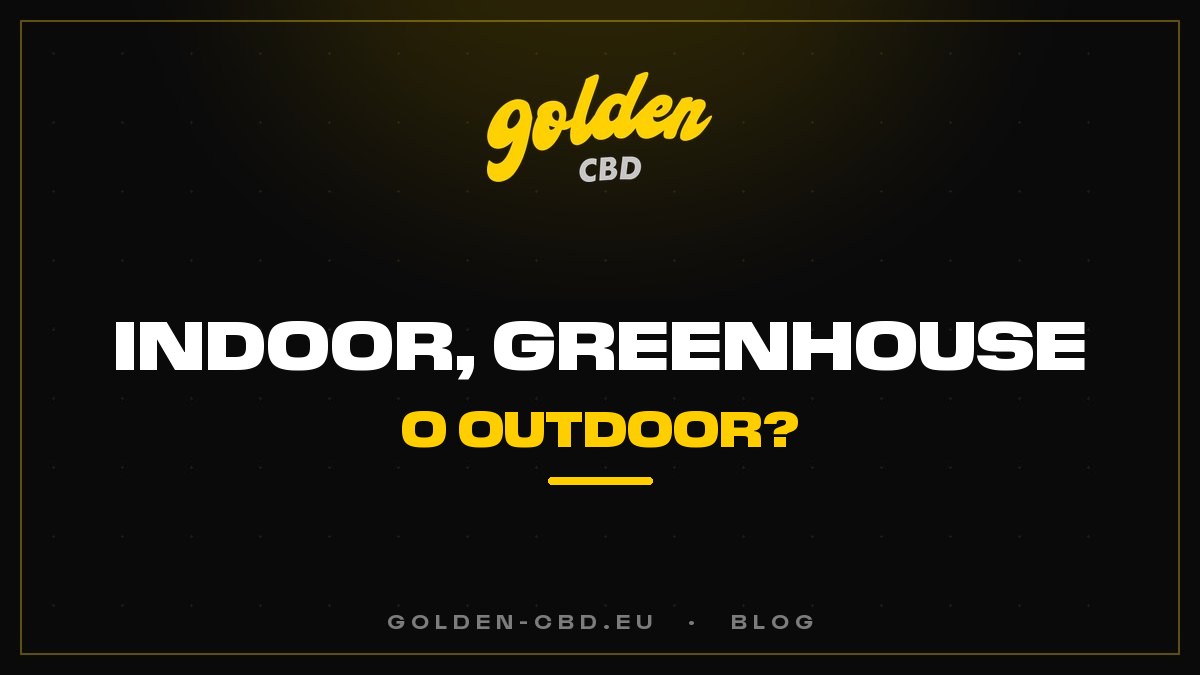 Coltivazione indoor, in serra (greenhouse) o outdoor: quali differenze per il CBD?