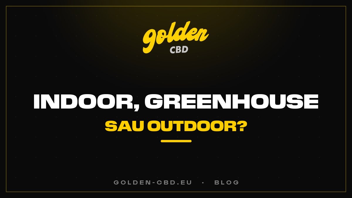 Cultivare în interior (indoor), în seră (greenhouse) sau în exterior (outdoor): ce diferențe pentru CBD?