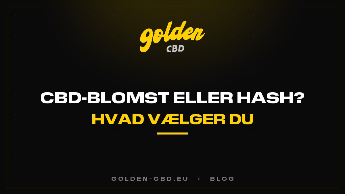 CBD-blomst eller hash: hvad skal du vælge?