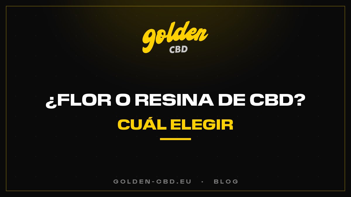 ¿Flor o resina de CBD: cuál elegir?